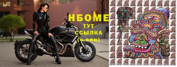 стаф Вяземский