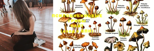 mdma Володарск