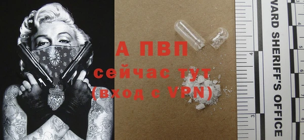 стаф Вяземский