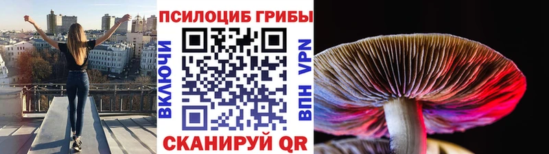 kraken ONION  Канск  Псилоцибиновые грибы ЛСД 